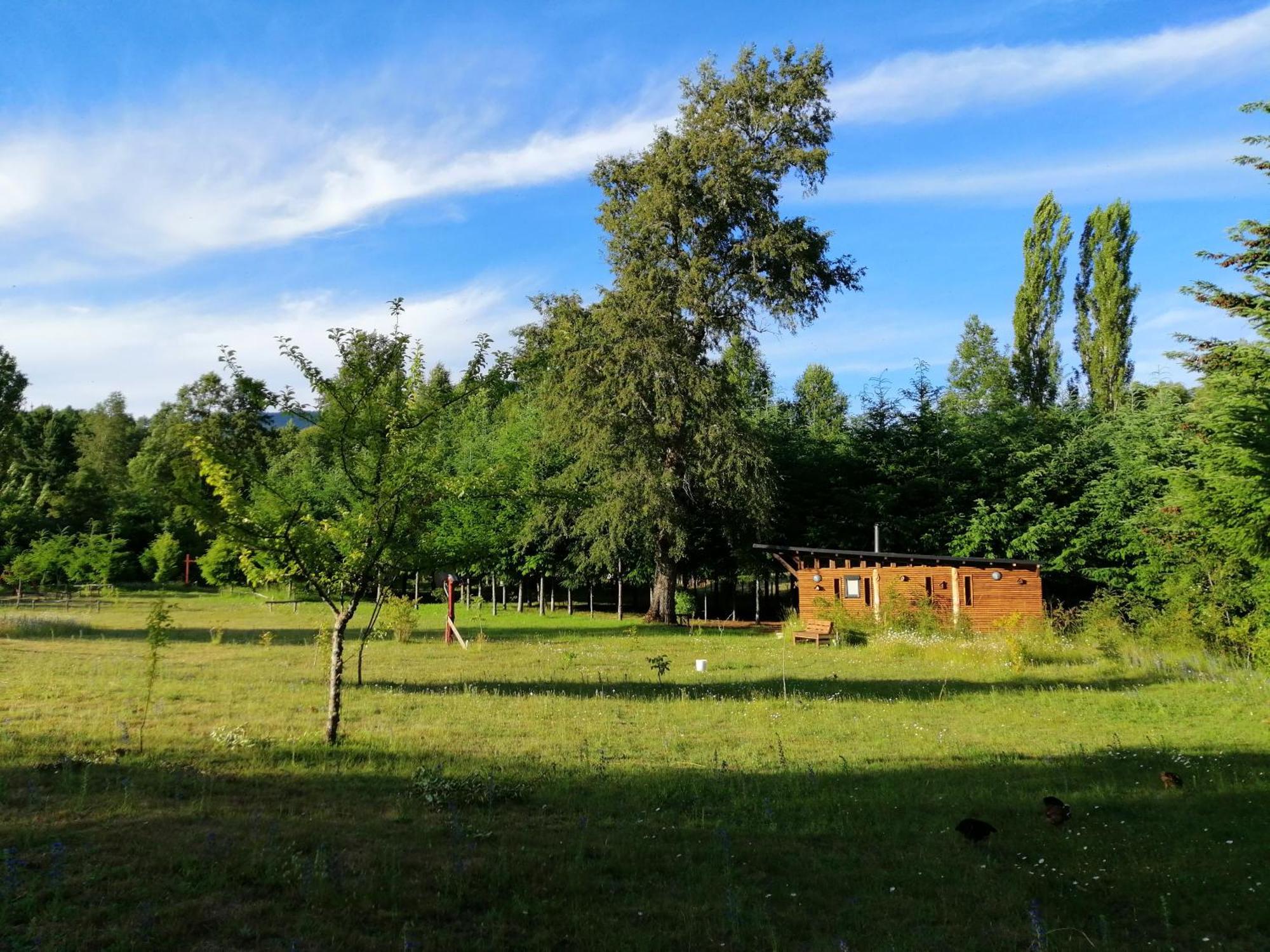 Villa Brisas Del Llaima Melipeuco Exterior foto